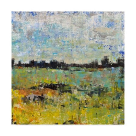 Tim Otoole 'Across The Tall Grass I' Canvas Art,24x24